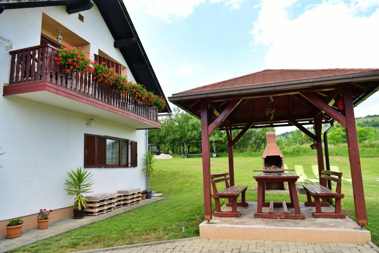 Guesthouse Ante Hodak Seliste Dreznicko Exterior foto